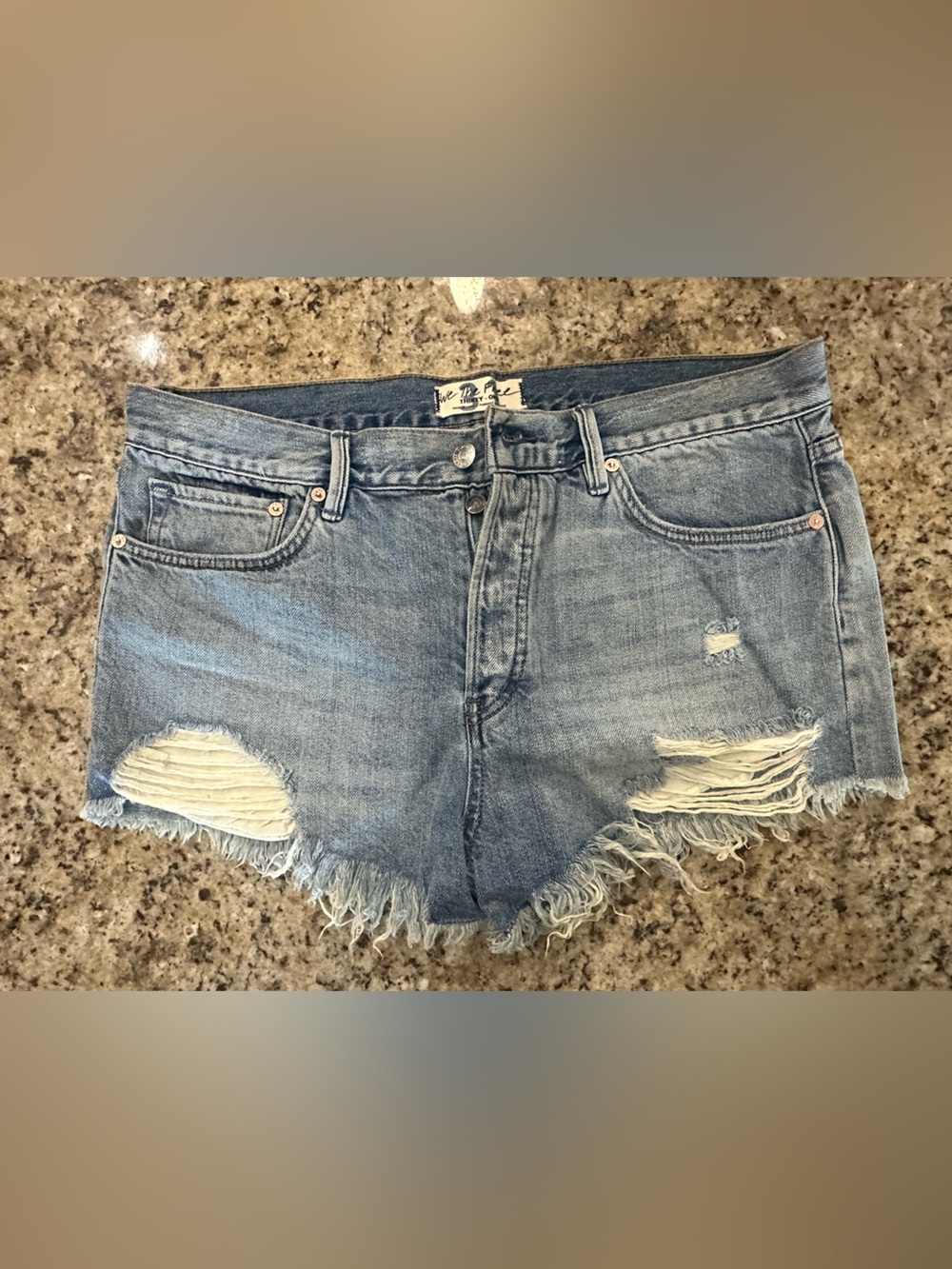 We The Free Light Wash Denim Button-Fly Shorts